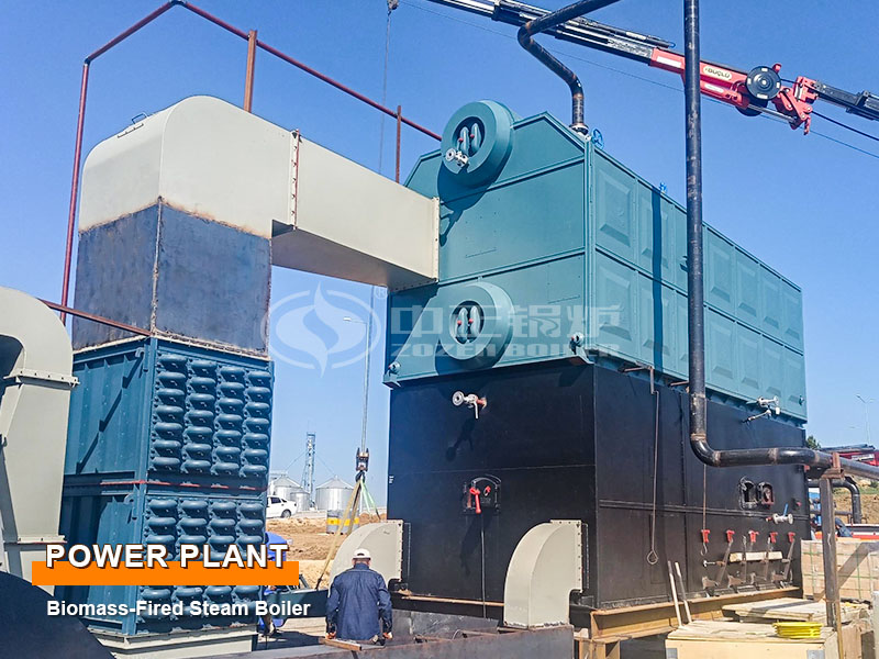 Turkey 10-Ton Biomass-Fired Steam Boiler For Power Plant Project