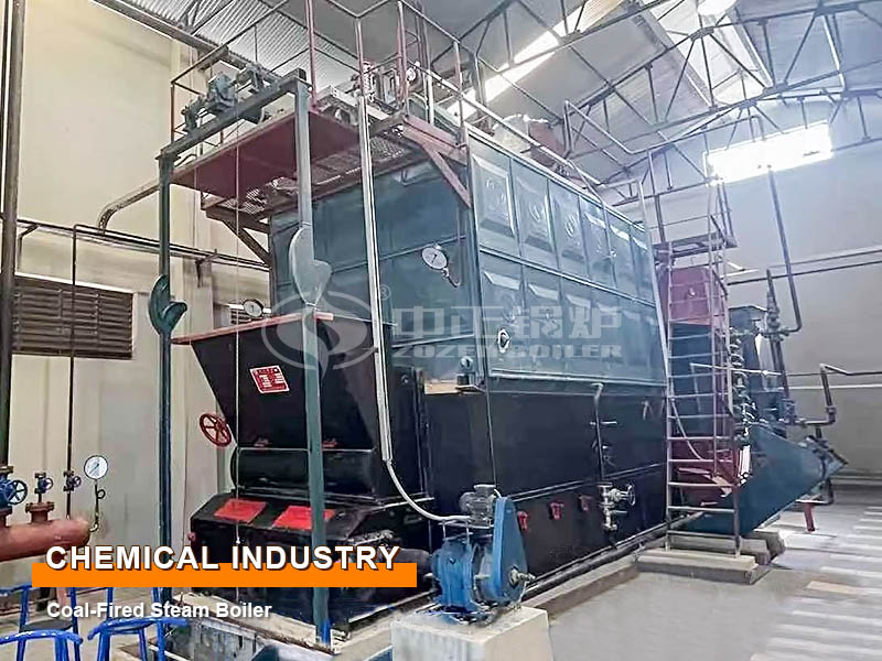 Pakistan Soap Factory 6-Ton Coal-Fired Steam Boiler Project