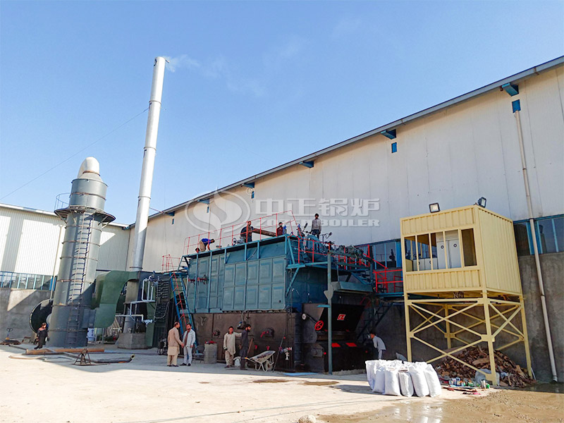 Afghanistan Paper Industry 15 Tons Coal-Fired Chain Grate Steam Boiler Project
