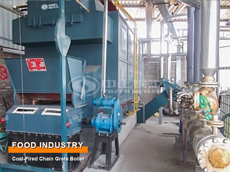 Serbia Food Industry 2.8MW Coal-Fired Chain Grate Hot Water Boiler Project