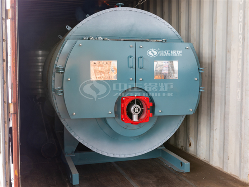 German GOTEC Group 0.7MW Gas-fired Hot Water Boiler in Mexico