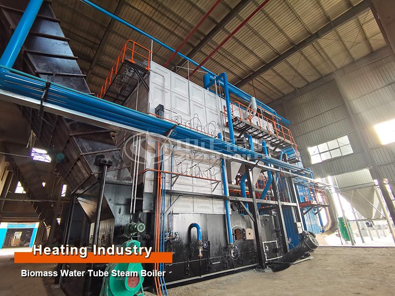 Third-Generation 20 Tph Biomass Water Tube Steam Boiler for Heating Industry