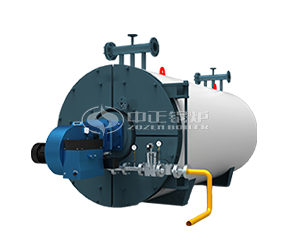 Thermal oil heaters